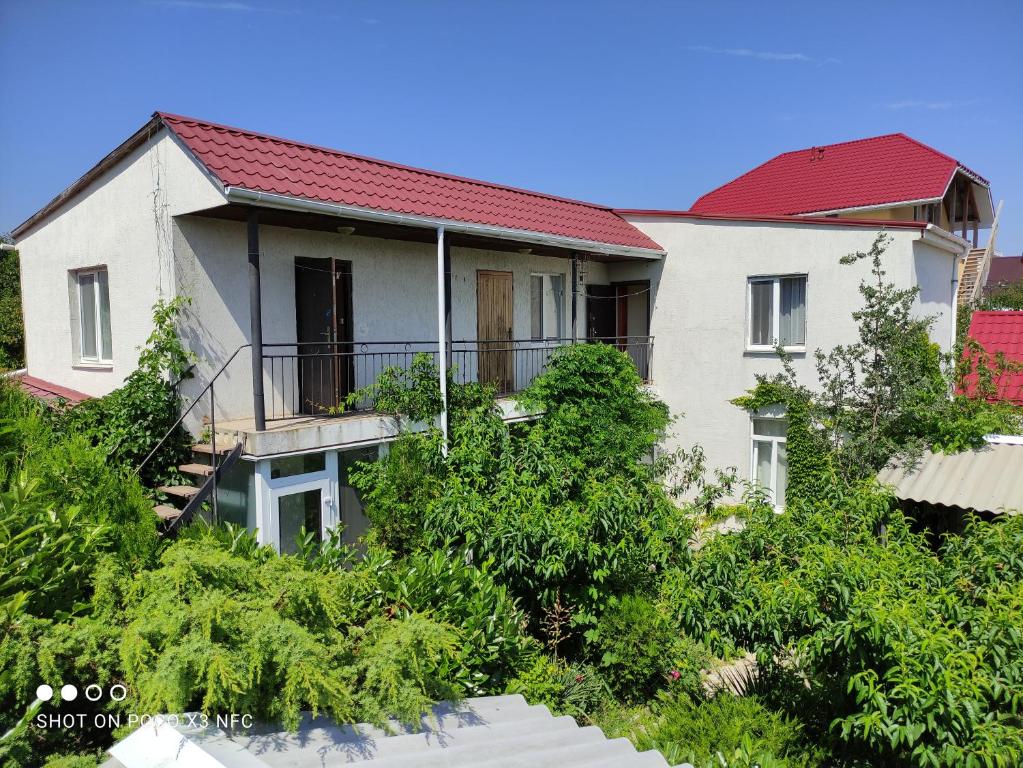 photo1