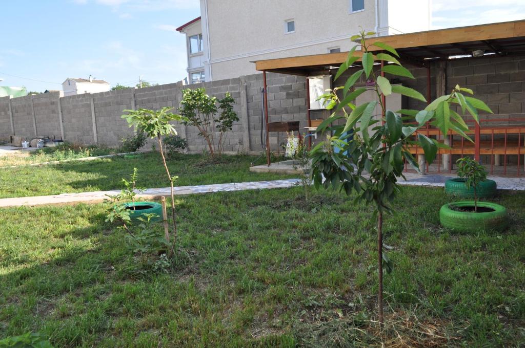 photo3