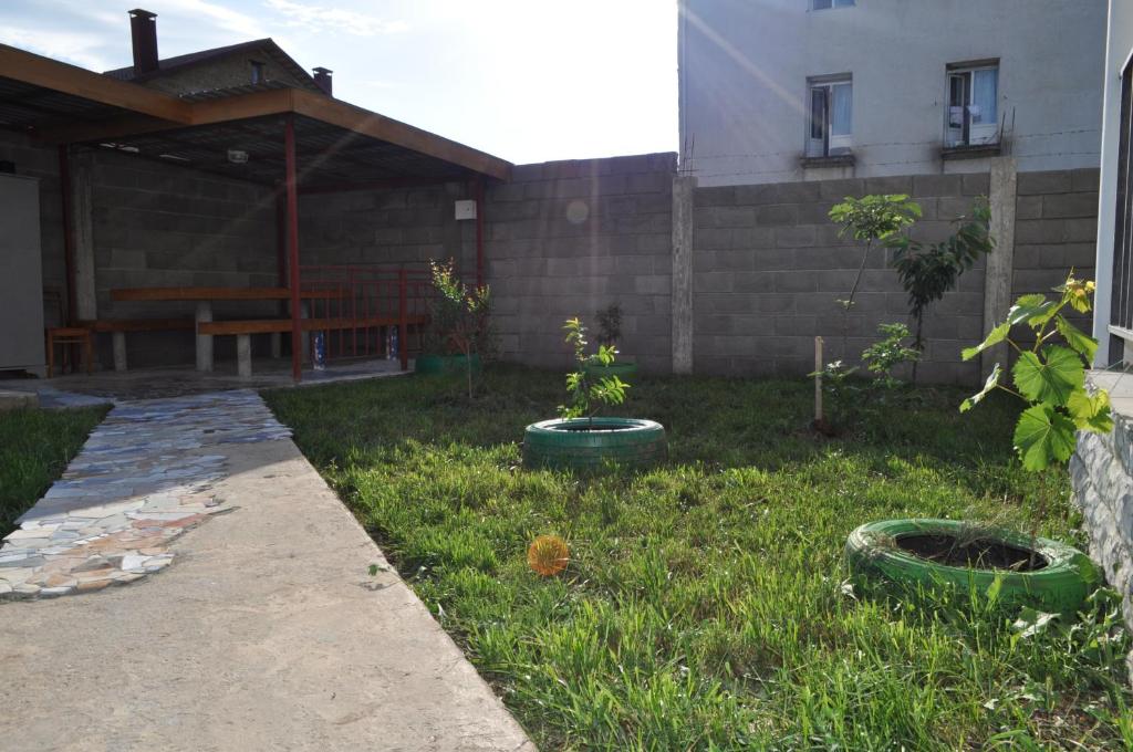 photo6