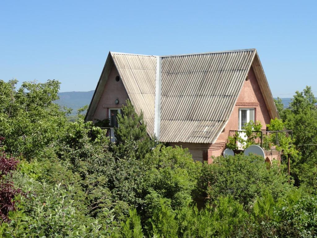 photo3
