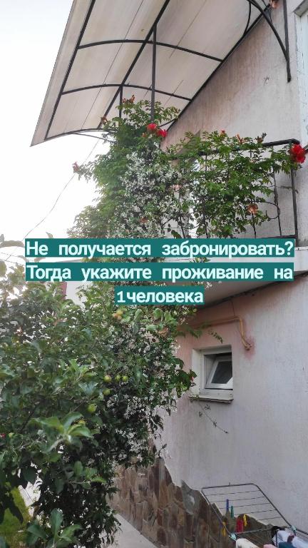 photo1