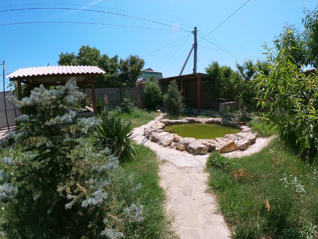 photo2
