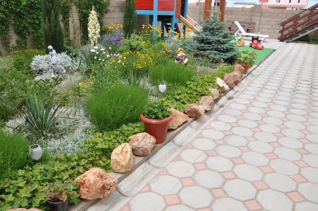 photo6