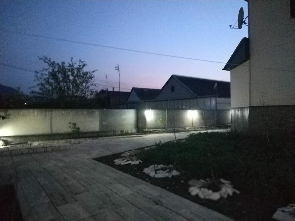 photo6