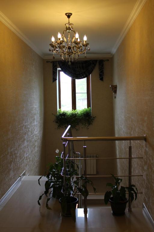 photo6
