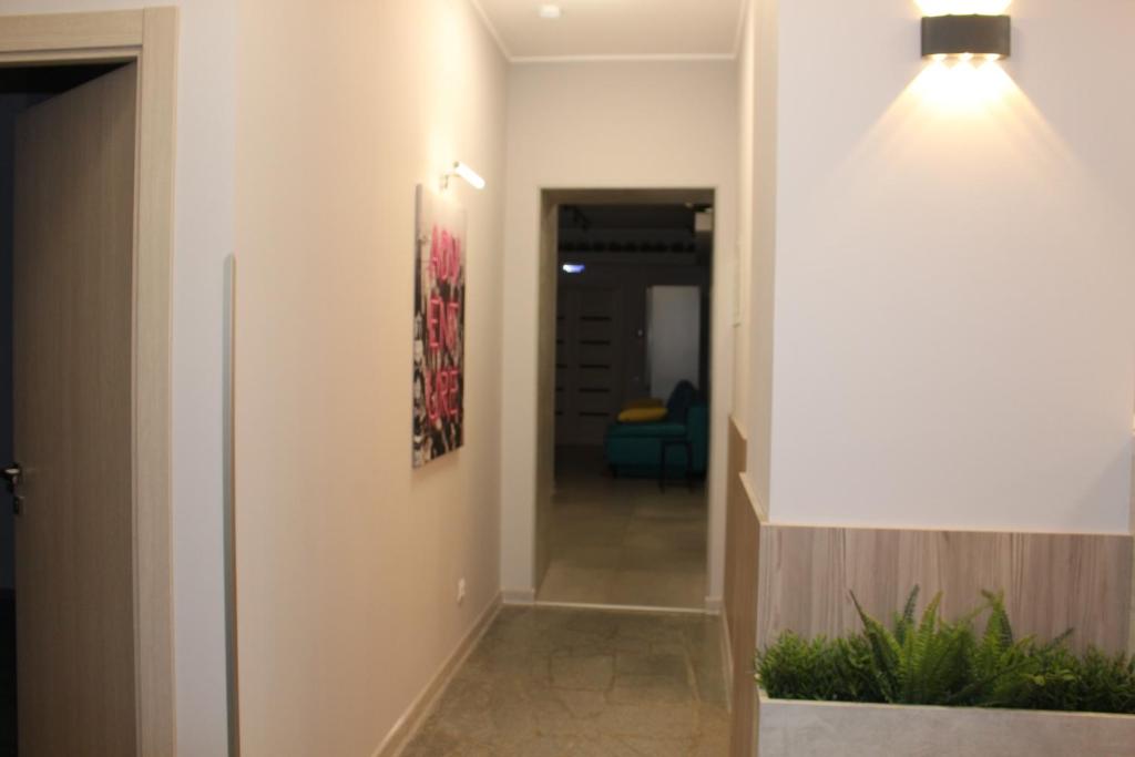 photo6