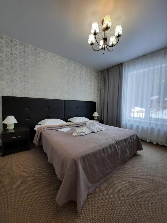 photo6