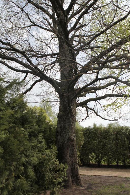 photo6