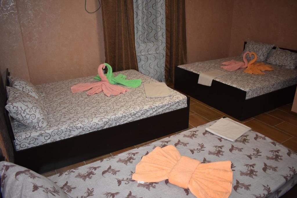 photo6