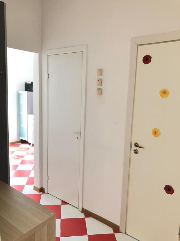 photo5
