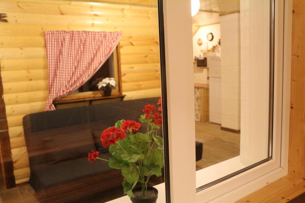 photo2