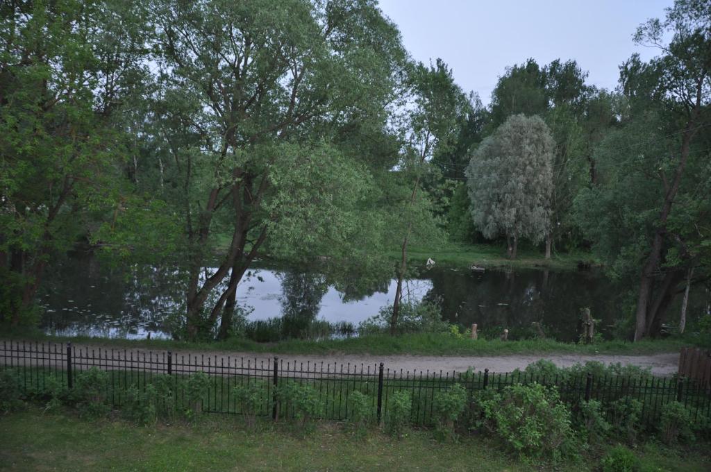 photo6