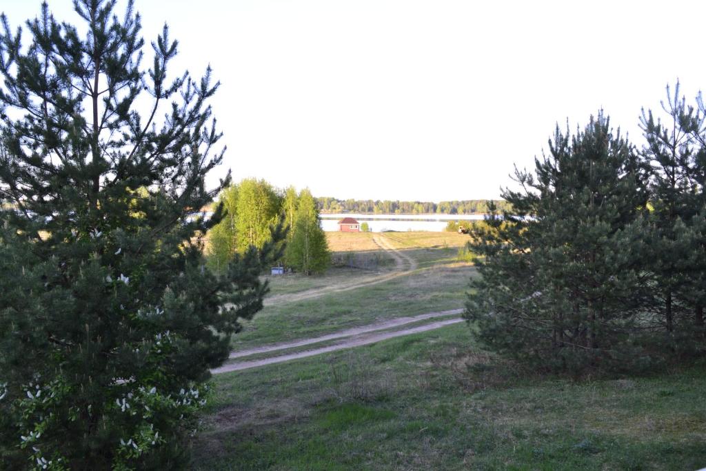 photo5