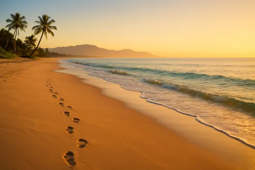Sunset beach with visible footprints and palm trees
