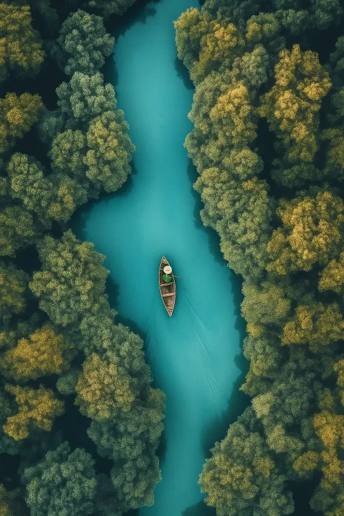 Boat on a river surrounded by dense green trees