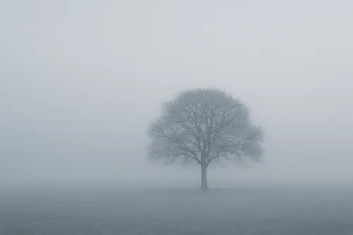 Silueta de un árbol contra un paisaje brumoso y gris
