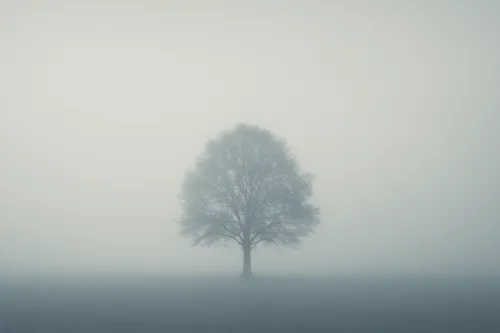 Un árbol aislado contra un denso fondo de niebla en el bosque