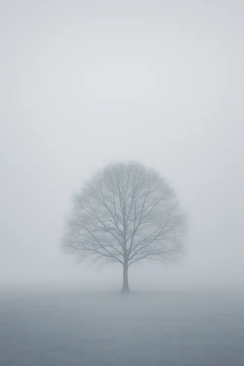 Árbol aislado en una nube densa de niebla contra un fondo de cielo gris