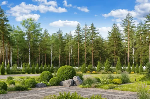 Landscape garden with neat shrubs, stones, and pines against a blue sky