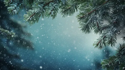 View of a Frosty Forest on a Winter Day with Falling Snow