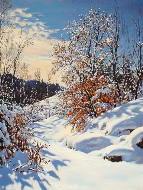Snow covers the ground and trees in a winter forest