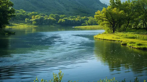 Reacción a la naturaleza: un río sereno entre colinas y árboles verdes