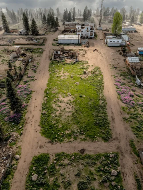 Photo of an abandoned area with vegetation and dilapidated buildings