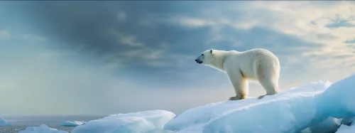 Oso polar de pie en un témpano en un paisaje ártico