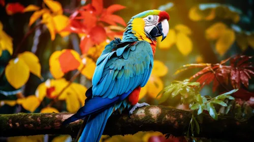 Parrot with bright feathers sitting on a branch among colorful leaves