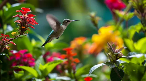 Hummingbird hovering over bright flowers in a green setting