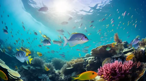 Picturesque underwater environment with colorful fish and coral reefs