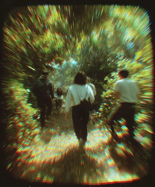 Paseantes en el sendero del parque, rodeado de árboles verdes y rayos de sol