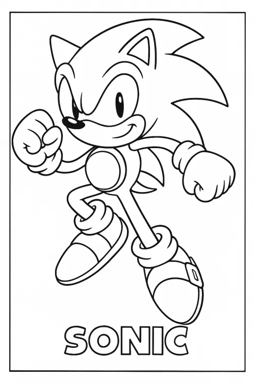 Coloring page of Sonic character from the video game for children and adults