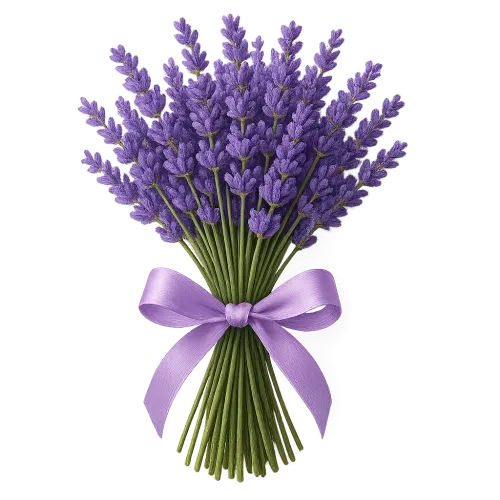 Beautiful composition of lavender flowers with a ribbon