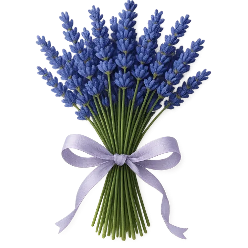 Ramo de lavanda estéticamente decorado con un lazo claro