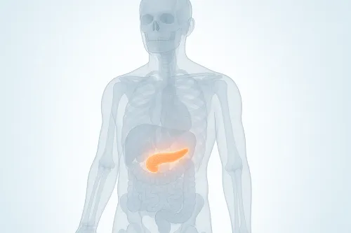 Imagen esquemática del cuerpo humano con el páncreas destacado