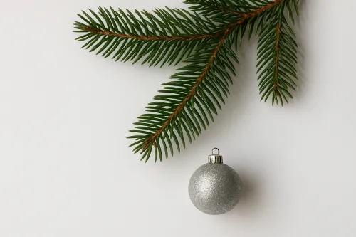 Еловая ветка и серебристая новогодняя игрушка на белом фоне