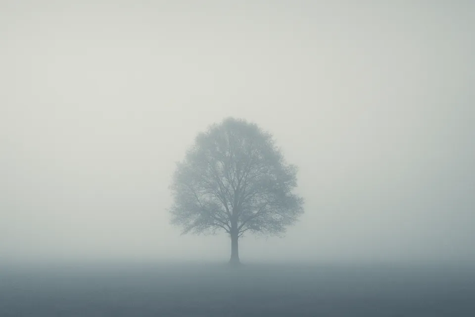 Isolated tree against a dense fog background in the forest