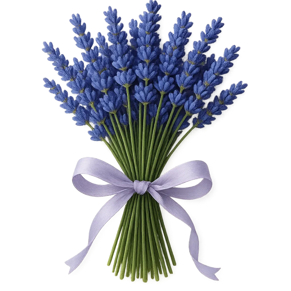 Ramo de lavanda estéticamente decorado con un lazo claro