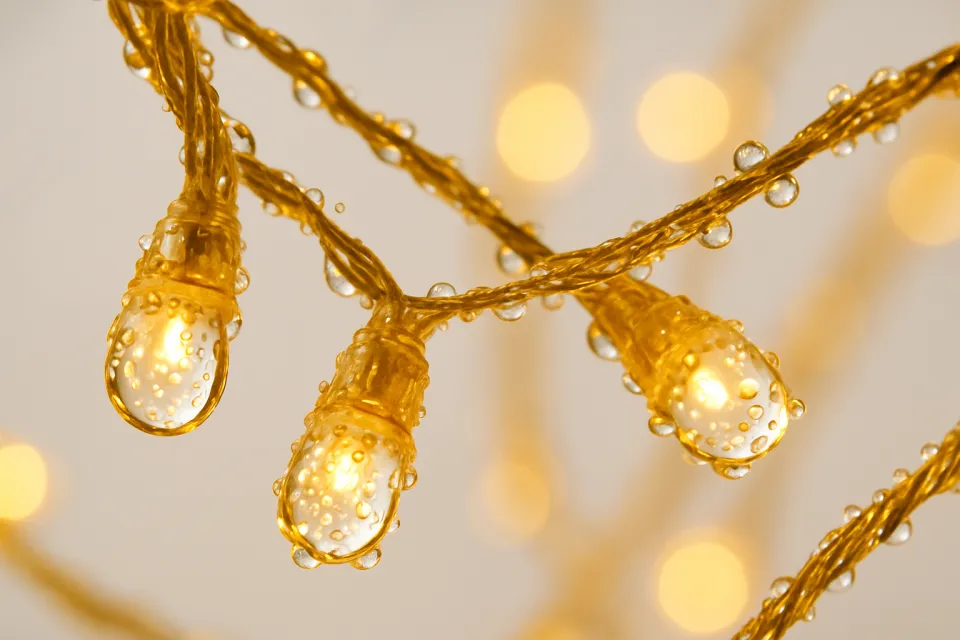 Close-up of glowing light bulbs with water droplets on the wires