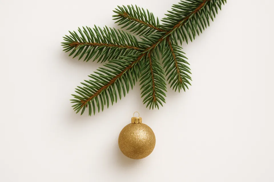 Еловая ветка с золотым шаром на белом фоне