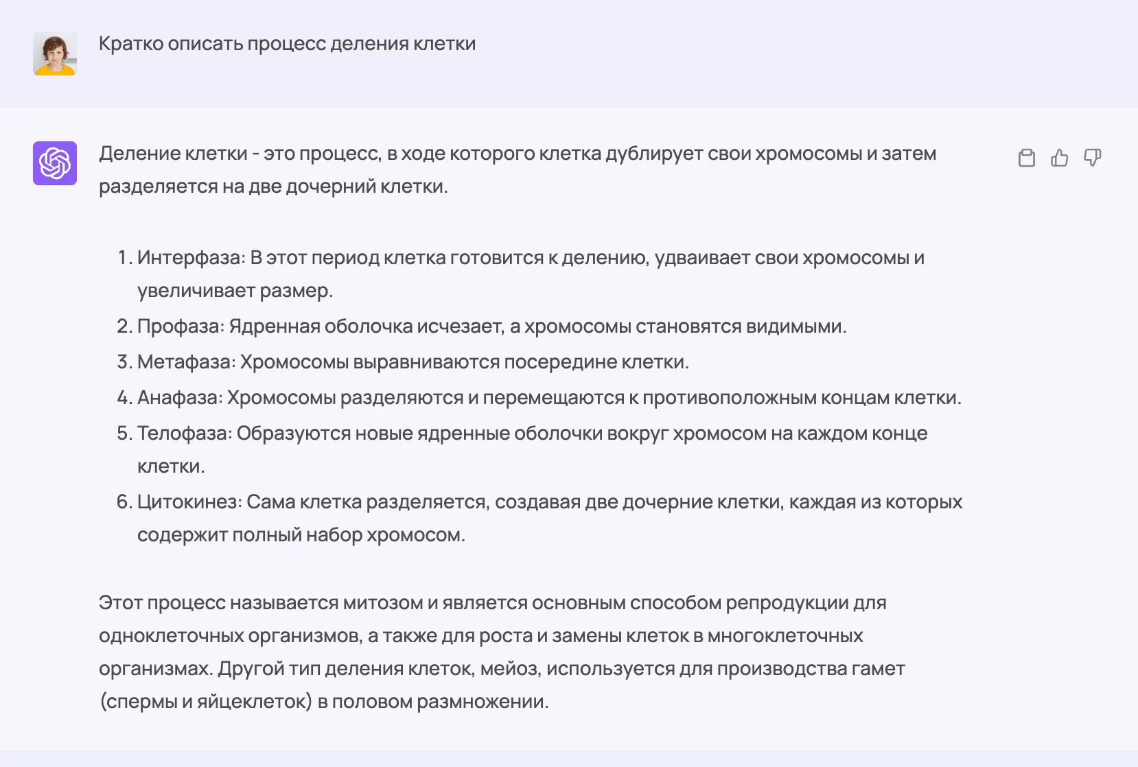 Кратно описать процесс деления клетки