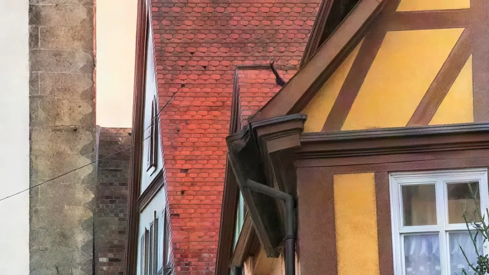 Улица: брусчатка, витрина, зелень