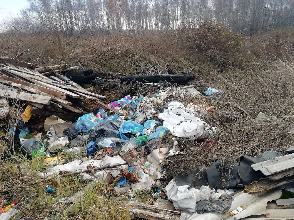 Свалка в лесу д. Пашнино 1-е