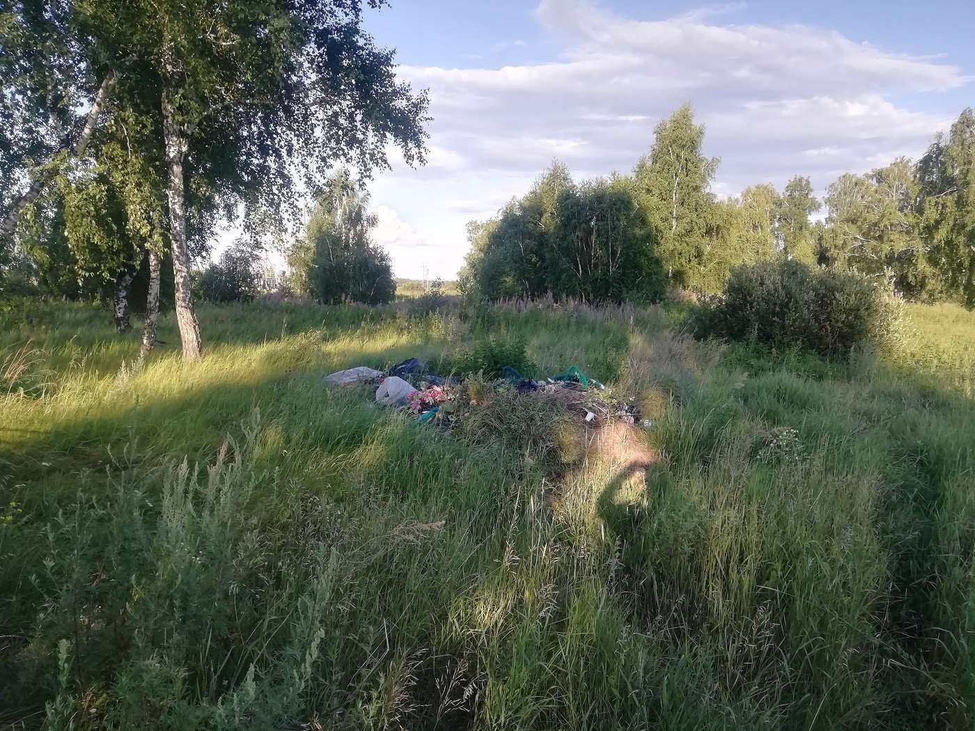 Свалка на кладбище с. Шумово