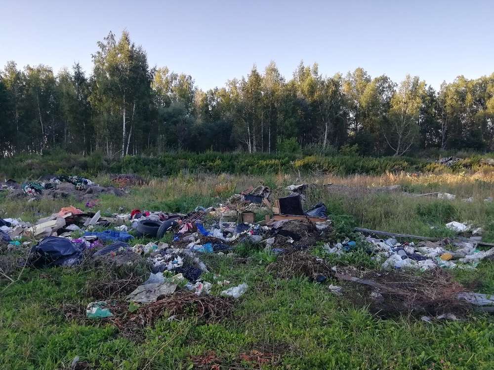 Свалка вблизи села Алабуга