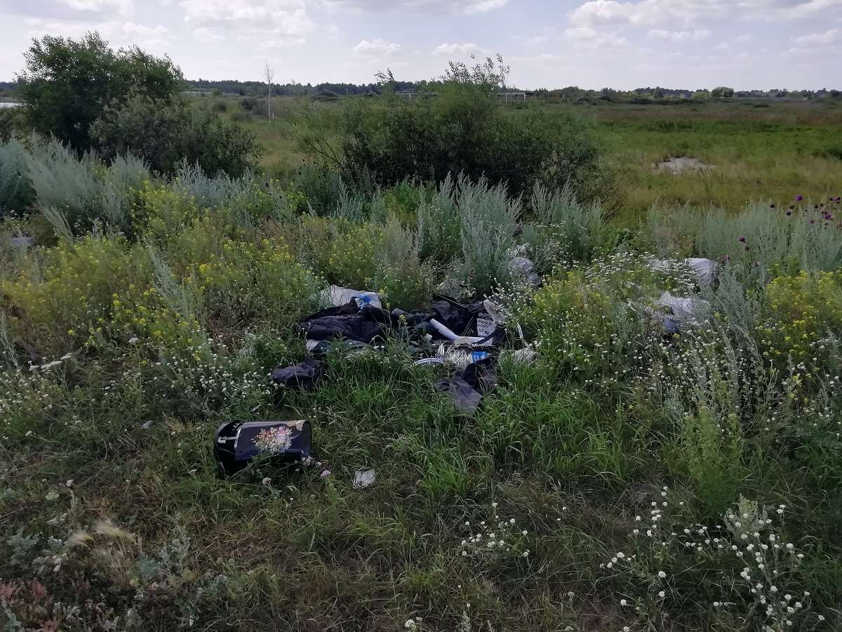 Свалка в селе Пашнино (третье)
