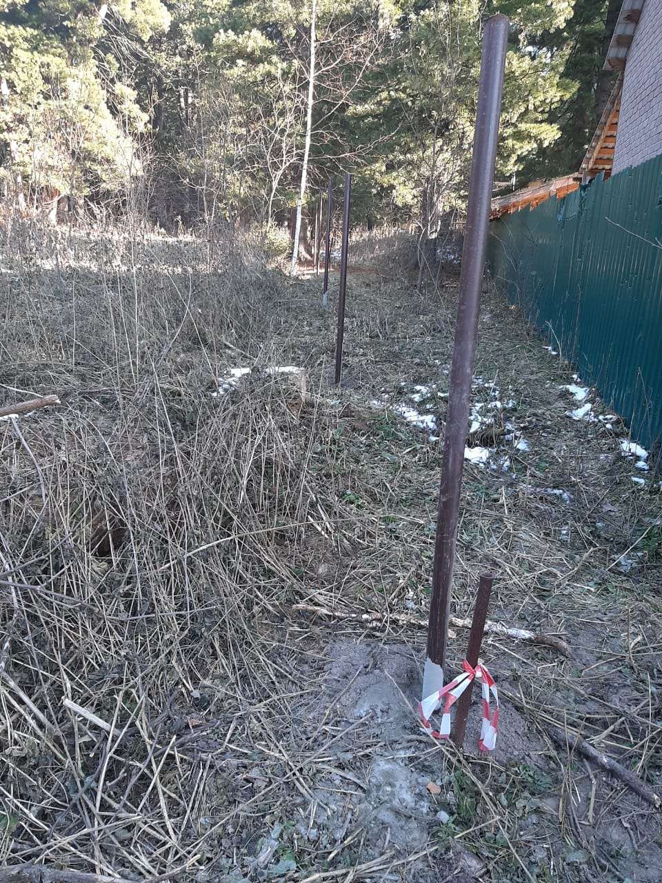 Рубка леса в Малом Протопопово