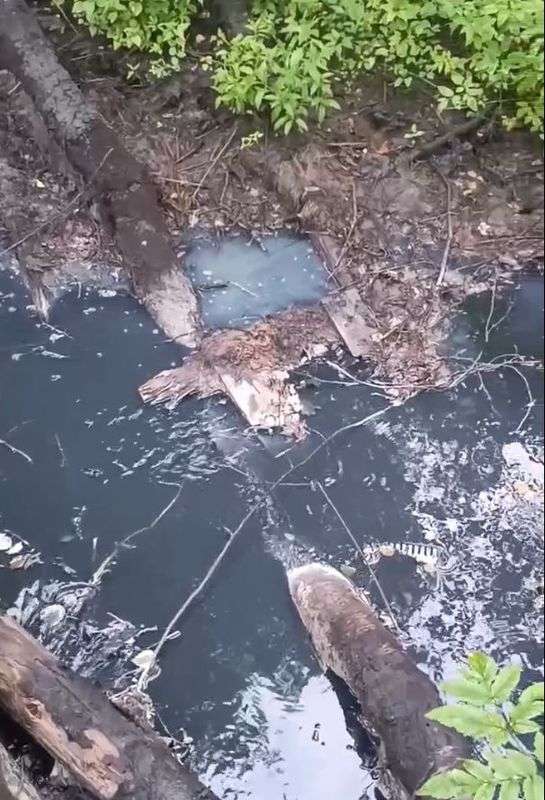 Едкий запах в Мурино