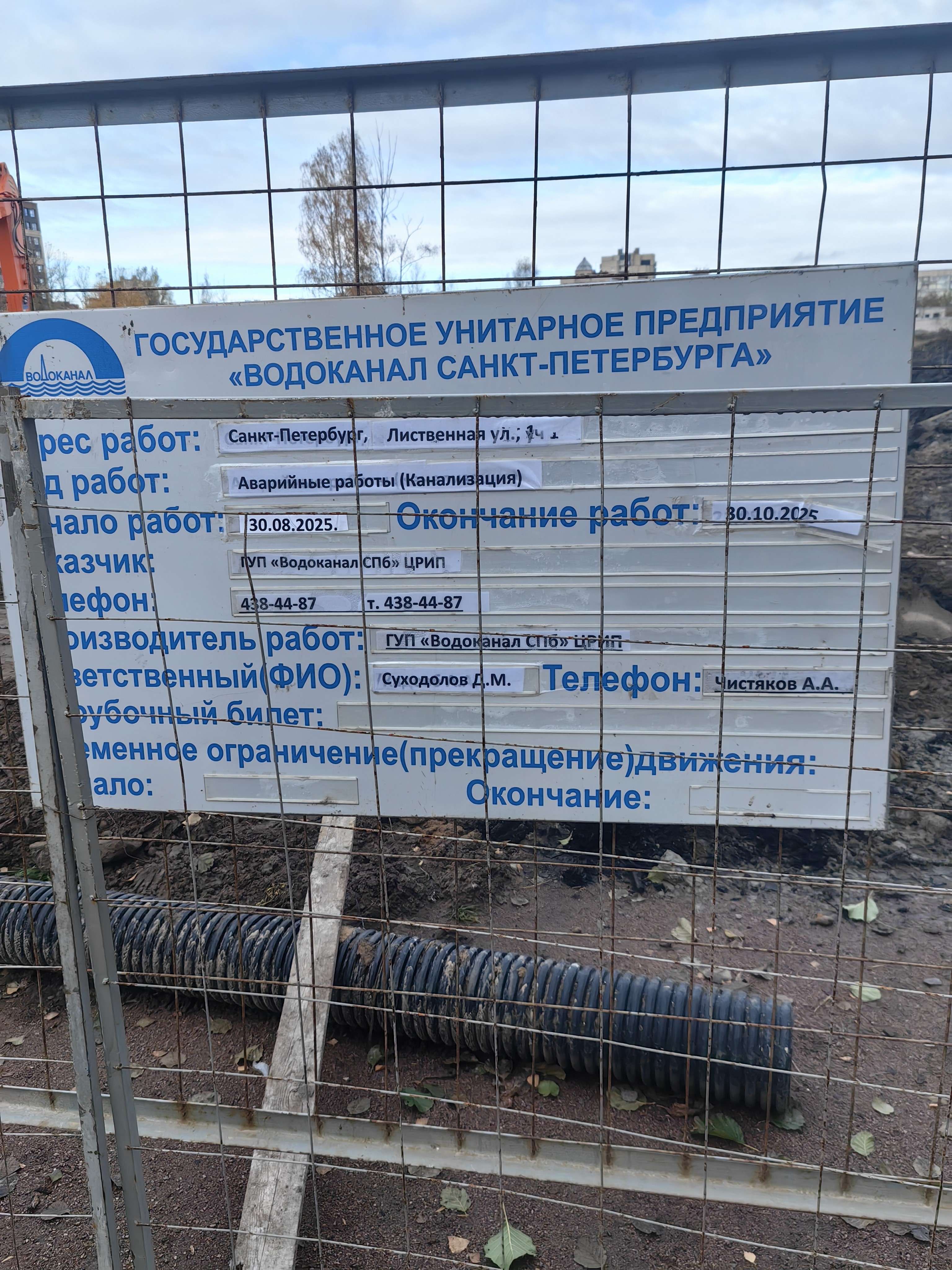 Пруд в парке Сосновка
